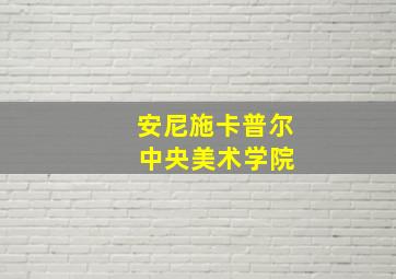 安尼施卡普尔 中央美术学院